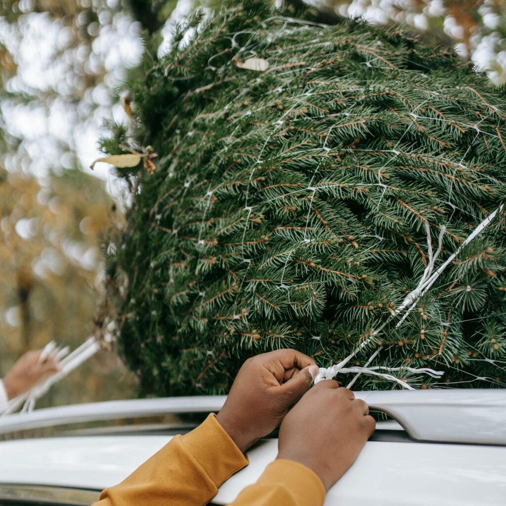 extruded Christmas tree netting