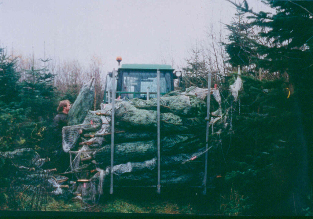 Christmas trees being loaded on a farm after being packed in netting