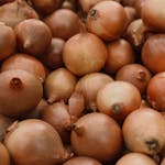 Fresh organic brown onions piled together showcasing natural texture in a close-up shot.